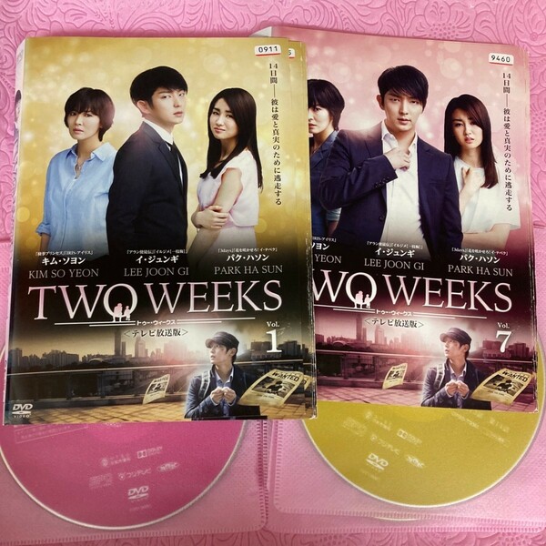 TWO WEEKS トゥー ウィークス 全12巻 DVD　韓国ドラマ