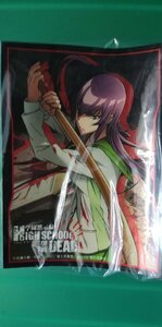 学園黙示録 HIGHSCHOOL OF THE DEAD 「毒島冴子」　スリーブ　50枚