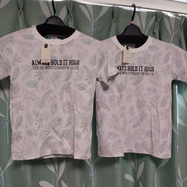 PATAGON basic Tシャツ2枚セット　サイズ160(120も有) 新品