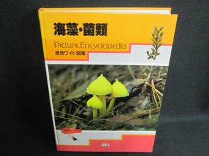 原色ワイド図鑑　海藻・菌類　箱無し・シミ日焼け有/EFZK