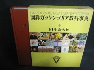 図詳ガッケン・エリア教科事典10 生命・人体　シミ日焼け強/EFZL