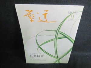 華道　2009.11　紅葉散策　日焼け有/FCZC