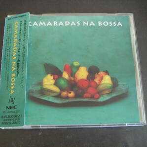 CD CAMARADAS NA BOSSA カマラーダス・ナ・ボッサ ボサノヴァの仲間たち 小野リサ 村田陽一 トゥーツ・シールマンス の画像1