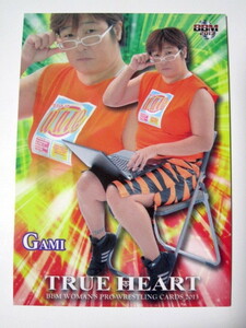 BBM2013 TRUE HEART GAMI レギュラーカード No.023