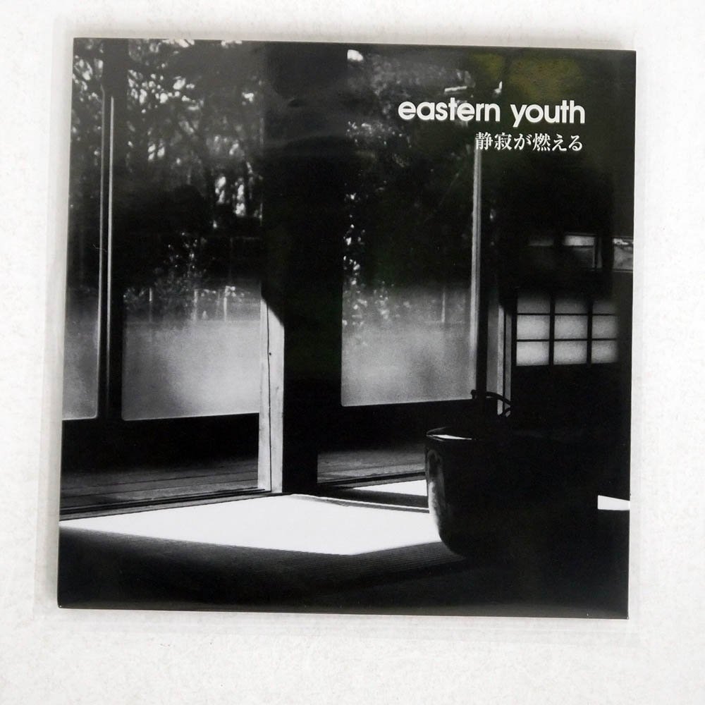 SCANNERS(eastern youthの前身バンド)アナログレコード-