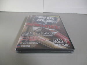 DVD 球団公認 2013 広島東洋カープ 選手名鑑 剣砥挑来　未開封