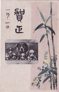 Art hand Auction #Q2 Carte postale Carte du Nouvel An Chien Bambou, Documents imprimés, Carte postale, Carte postale, autres