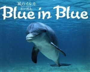 Ｂｌｕｅ　ｉｎ　Ｂｌｕｅ 風のイルカ／水口博也【著】