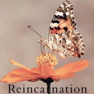 Ｒｅｉｎｃａｒｎａｔｉｏｎ （ＴＹＰＥ Ｃ） ＮＥＶＥＲＬＡＮＤ （ヴィジュアル）