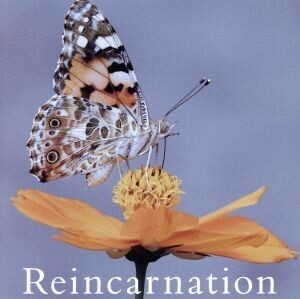 Ｒｅｉｎｃａｒｎａｔｉｏｎ（ＴＹＰＥ　Ｂ）／ＮＥＶＥＲＬＡＮＤ（ヴィジュアル）