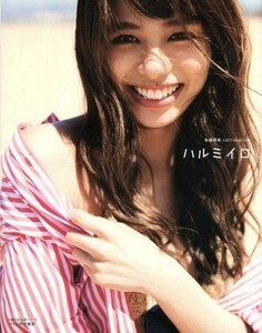 ハルミイロ　佐藤晴美　１ｓｔフォトブック 主婦の友生活シリーズ／佐藤晴美(著者)