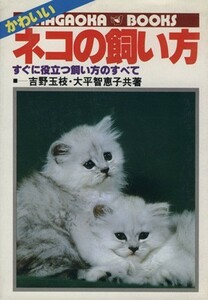  симпатичный кошка. .. person сразу позиций быть установленным .. person. все | Yoshino шар ветка ( автор ), большой flat ...( автор )