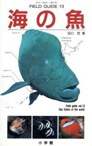 海の魚 フィールド・ガイド１３／田口哲(著者)