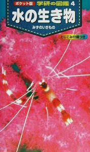 水の生き物 ポケット版　学研の図鑑４／武田正倫