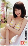 テレホンカード アイドル テレカ 犬童美乃梨 EX大衆 A0210-0007