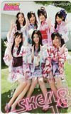 図書カード SKE48 ヤングアニマル 図書カード500 A0152-0134