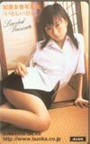 テレホンカード アイドル テレカ 加藤友香 写真集「いとしいひと。」 K0055-0021
