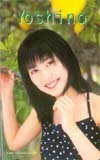 テレホンカード アイドル テレカ 木村佳乃 K0007-0056