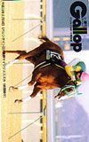  telephone card telephone card weekly Gallop Silence Suzuka UZG01-0119