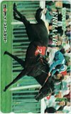 テレカ テレホンカード エルハーブ 1994年英国ダービー馬 イーストスタッド UCA04-0119