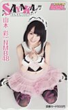 図書カード NMB48 山本彩 ヤングアニマル 図書カード500 A0152-0917