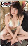 テレホンカード アイドル テレカ 中村静香 アサ芸シークレット! N0065-0059