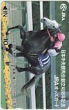 オッズカード ビワハヤヒデ 日本中央競馬会創立40周年記念 オッズカード10 U0002-0194