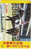  telephone card telephone card ga Ise nsichi-. name regular . my love horse UCK01-0107