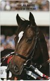 テレカ テレホンカード 1999 HORSE OF THE YEAR エルコンドルパサー UP999-0002