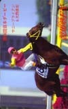 テレカ テレホンカード 競馬塾 サニーブライアン UZJ01-0004