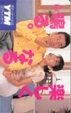 テレホンカード アイドル テレカ 佐藤藍子 山口テレメッセージ S0003-0037