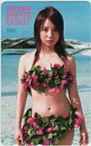 テレホンカード アイドル テレカ 石坂ちなみ 週刊ヤングジャンプ A0143-0011