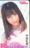 テレホンカード アイドル テレカ 中島礼香 ヤングアニマル N0015-0028