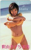 テレホンカード アイドル テレカ 釈由美子 写真集 Natural Shaku S0021-0166