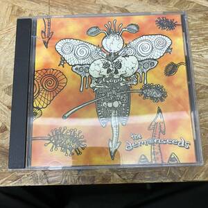 ● POPS,ROCK THE DEMONSEEDS - KNEE DEEP IN HELL'S GRASP アルバム,INDIE CD 中古品