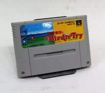 SFC (スーパーファミコン) 芹沢信雄のbirdietry / 箱・説明書付き / メール便可 / R03458_画像4