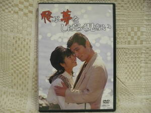  ultra rare!! DVD used .. dream . little while see not small river .. Ishida Eri ..... Suzuki hiromitsu Kobayashi tosi.. river . three 