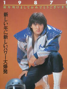 New Japan Professional Wrestling * проспект . душа специальный новый year панель приборов '87. глициния .., Anne tonio. дерево, глициния волна .., склон .. 2, передний рисовое поле день Akira, Fujiwara
