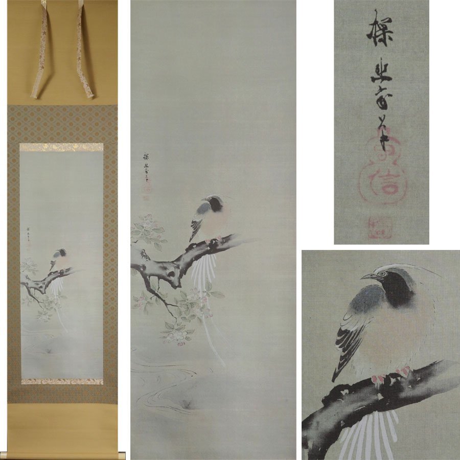 《Source》 [Immediate purchase / Free shipping] 《High quality crafts》 Collection of Boston Museum of Fine Arts Tanyu Kano brush ``Long-tailed bird on sea cucumber'' / Box included, painting, Japanese painting, flowers and birds, birds and beasts