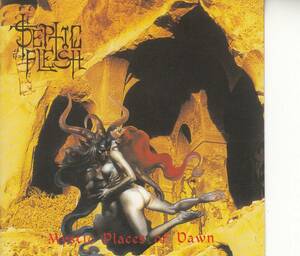 ゴシックデスメタル SEPTIC FLESH /MYSTIC PLACES OF DAWN 　ソフトケース