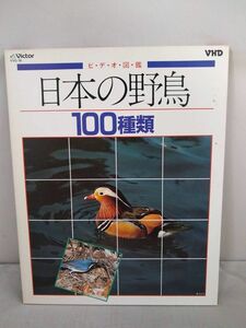 R3646　VHD・ビデオディスク　ビデオ図鑑　日本の野鳥　100種類