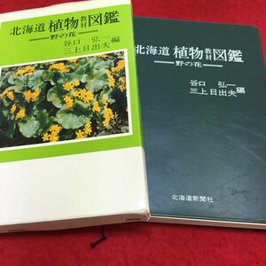 c-231 北海道 植物 教材 図鑑(野の花) 谷口 弘一三上日出末 編 昭和52年5月25日 発行 ※13