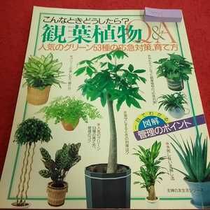 c-077 こんなときどうしたら？観葉植物Q&A 平成7年3月1日発行 人気のグリーン53種の応急対策、育て方 主婦の友社※13