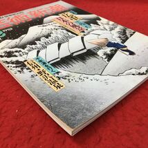 d-508 ※13 芸術新潮 1993年3月号 1993年3月1日 発行 新潮社 芸術 雑誌 大久手宿 風景画 原風画 エッセイ 蒲原 夜之雪 広重 花鳥画_画像2