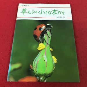 d-654 *13.... маленький .. насекомое фотография книга с картинками Ogawa . New Japan выпускать фирма 1981 год no. 15.