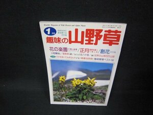 趣味の山野草1996年1月号　花の楽園/FAV