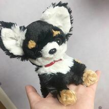 希少品　サンレモン　パプス　ぬいぐるみS チワワ　ブラック　おすわり　たち　ねそべり_画像1