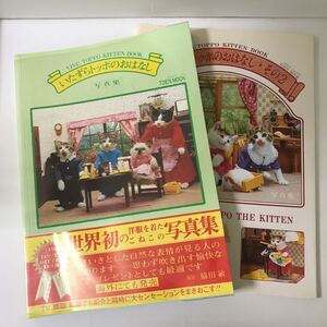 なめ猫 写真集の値段と価格推移は 10件の売買情報を集計したなめ猫 写真集の価格や価値の推移データを公開 なめ猫 写真集の値段と価格推移は 10件の売買情報を集計したなめ猫 写真集の価格や価値の推移データを公開
