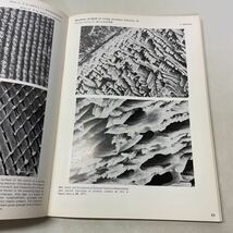 221010★M21★ The World through the Electron Microscope BIOLOGY V 電子顕微鏡写真集 第5次生物編 1973★科学 東昇_画像8