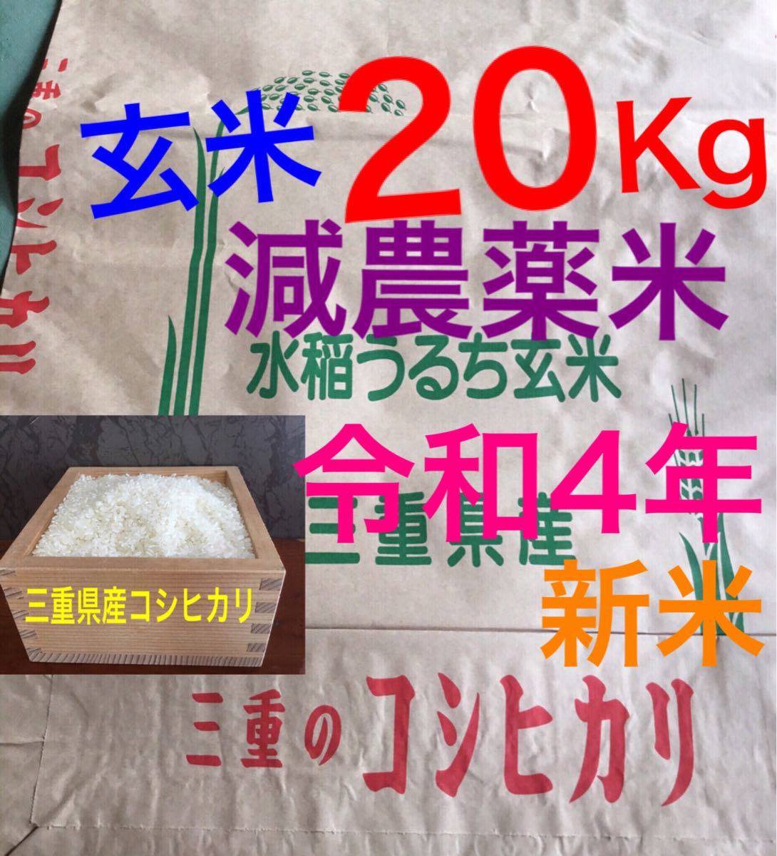 本物保証】 令和４年新米 ミルキープリンセス 酵素米 玄米１０Kg 無